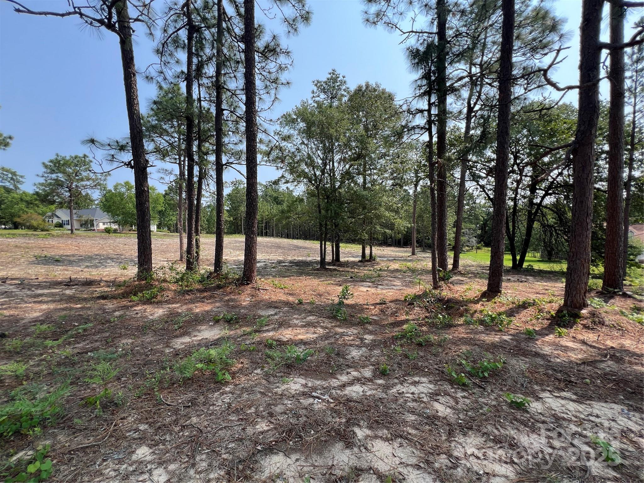 0 Ruby Road Hartsville, SC 29550 - Photo 13 of 23 a view of outdoor space with trees