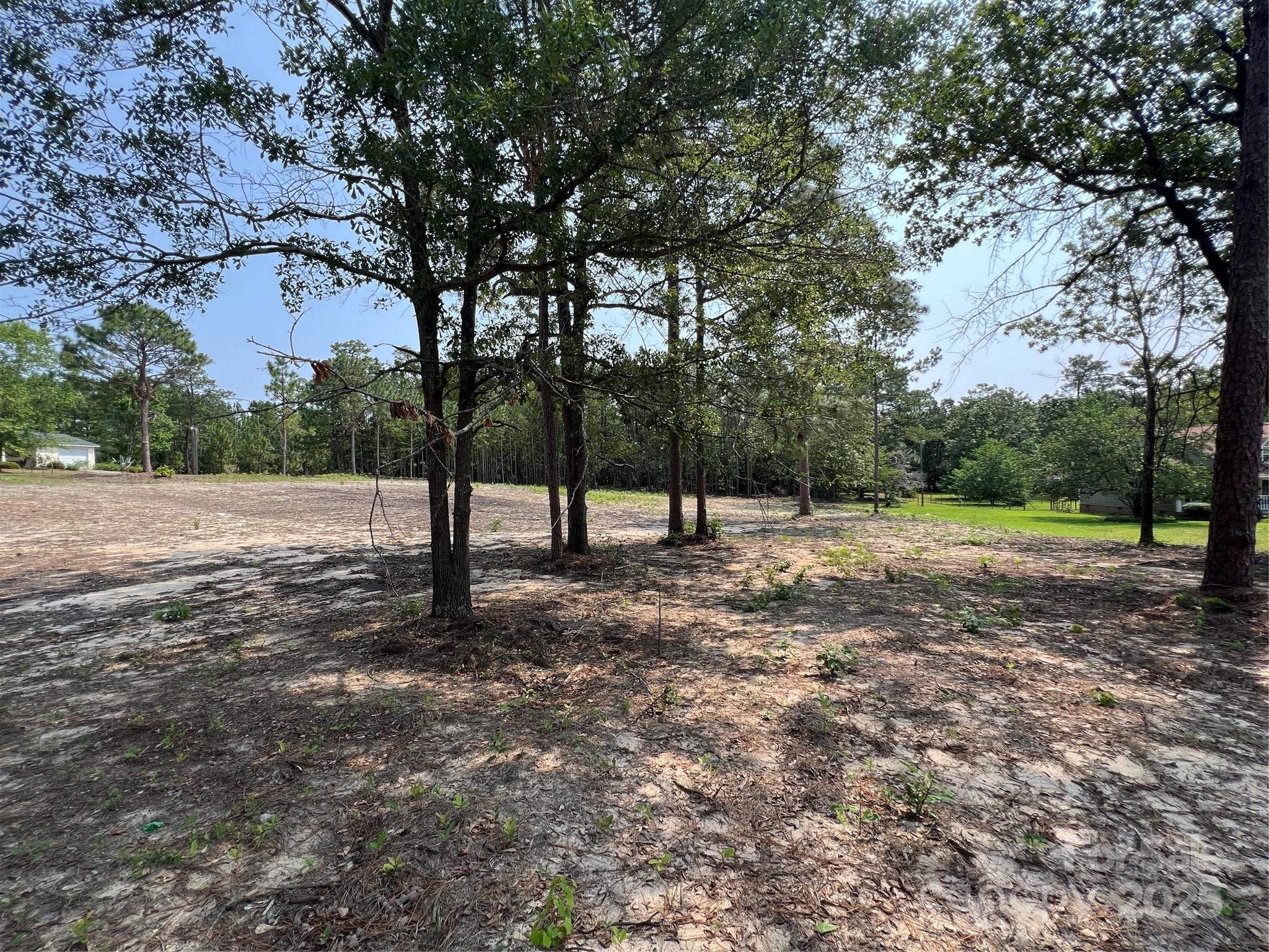 0 Ruby Road Hartsville, SC 29550 - Photo 14 of 23 a view of outdoor space with trees