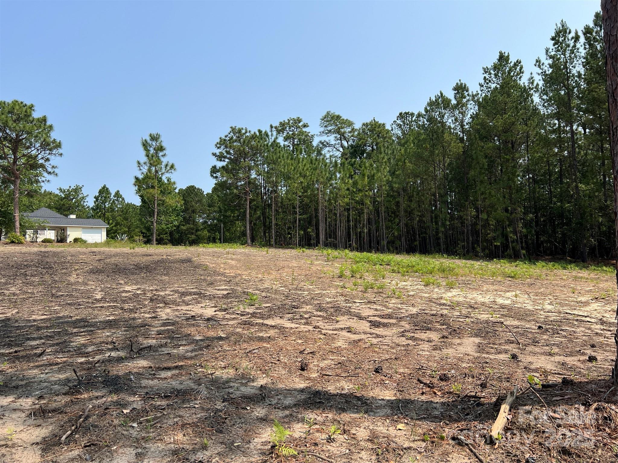 0 Ruby Road Hartsville, SC 29550 - Photo 15 of 23 a backyard of a house with lots of trees