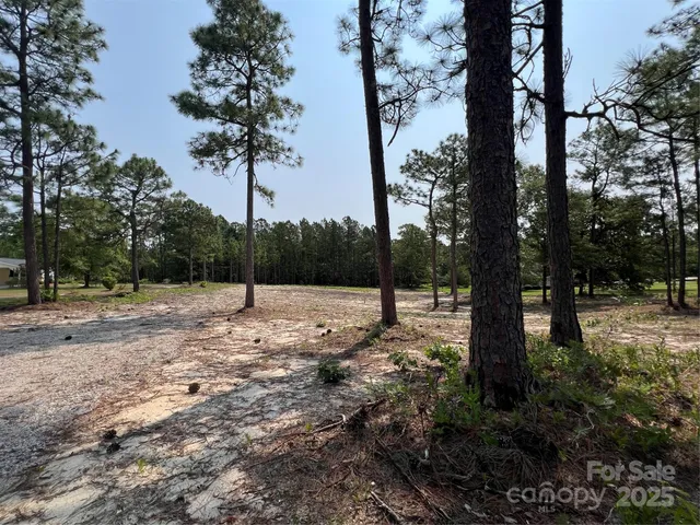 a view of a yard with plants