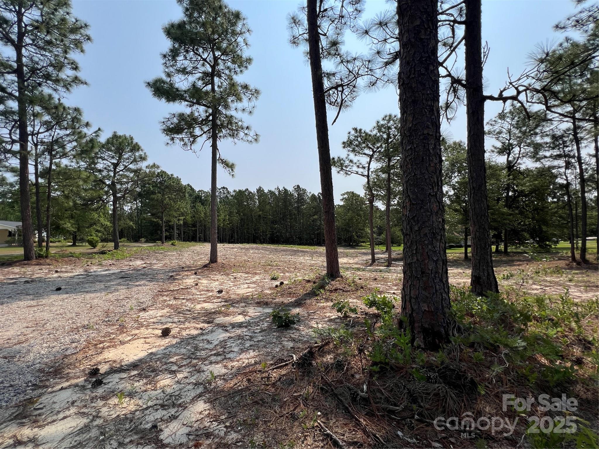 0 Ruby Road Hartsville, SC 29550 - Photo 16 of 23 a view of a yard with plants