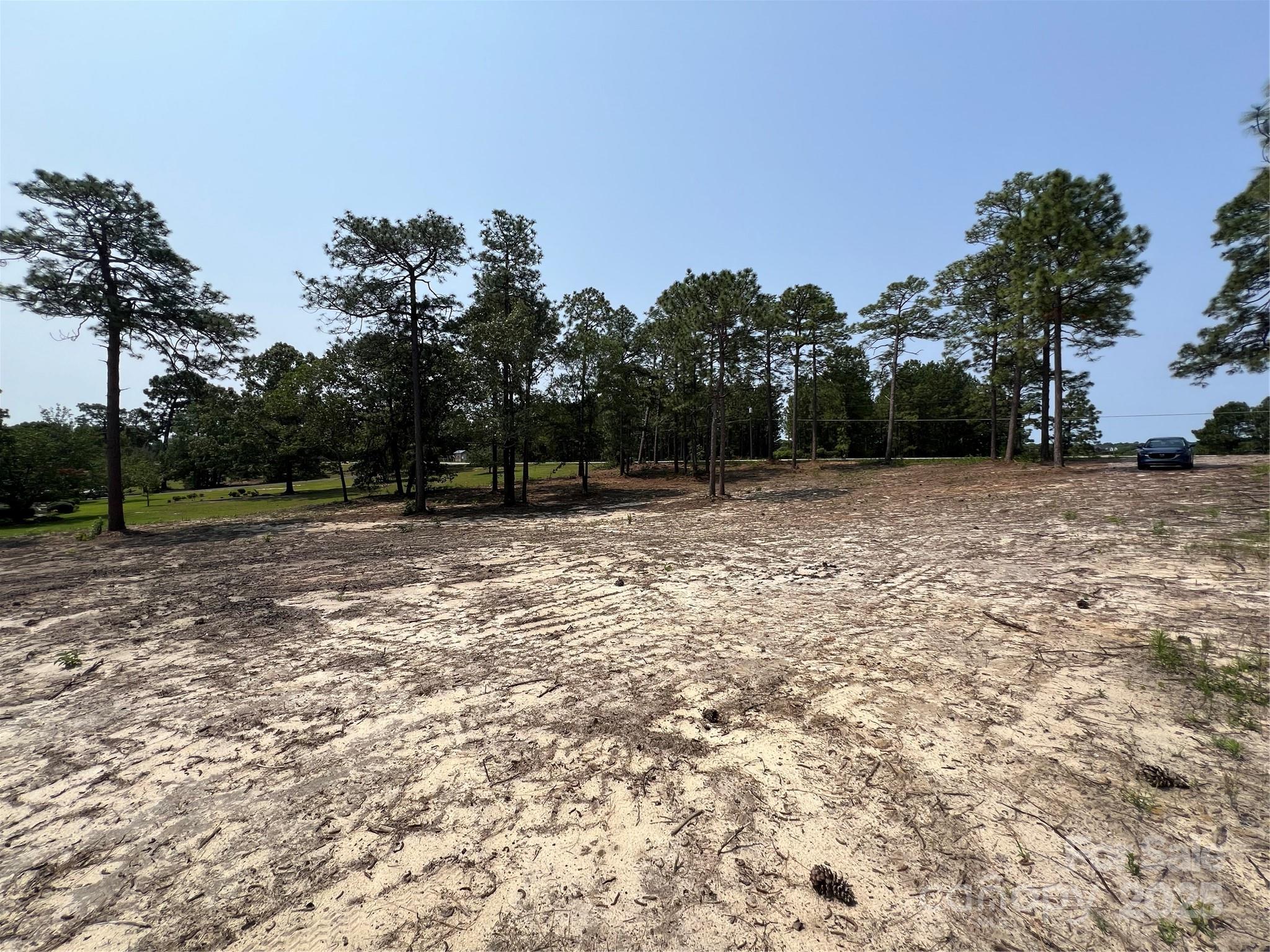 0 Ruby Road Hartsville, SC 29550 - Photo 2 of 23 a backyard of a house with lots of green space