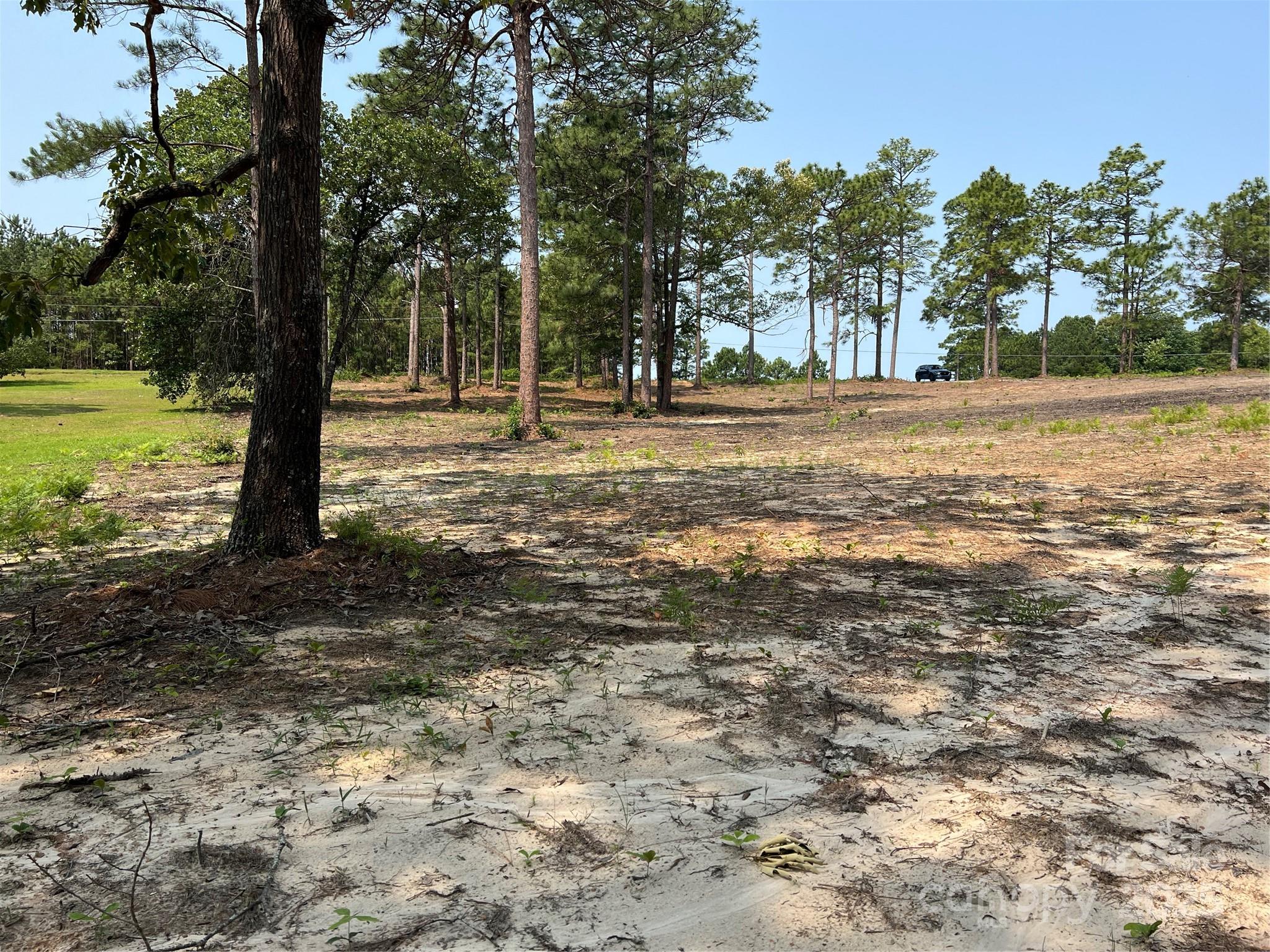 0 Ruby Road Hartsville, SC 29550 - Photo 3 of 23 a view of road with trees