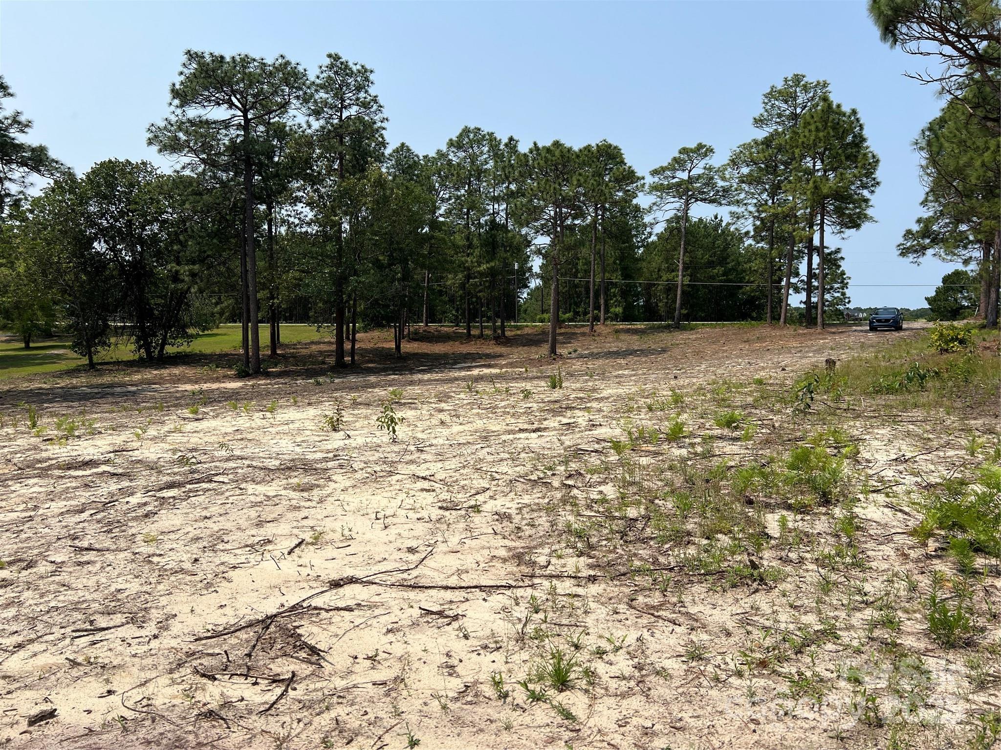 0 Ruby Road Hartsville, SC 29550 - Photo 4 of 23 a view of a yard with wooden fence