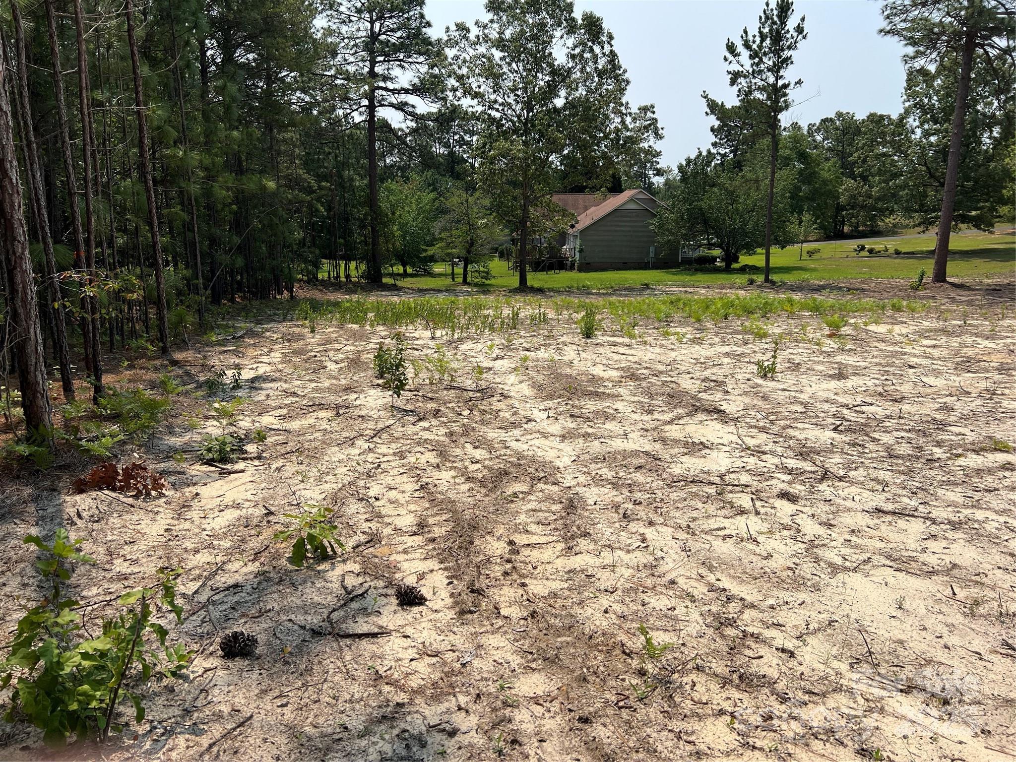 0 Ruby Road Hartsville, SC 29550 - Photo 5 of 23 a view of a backyard