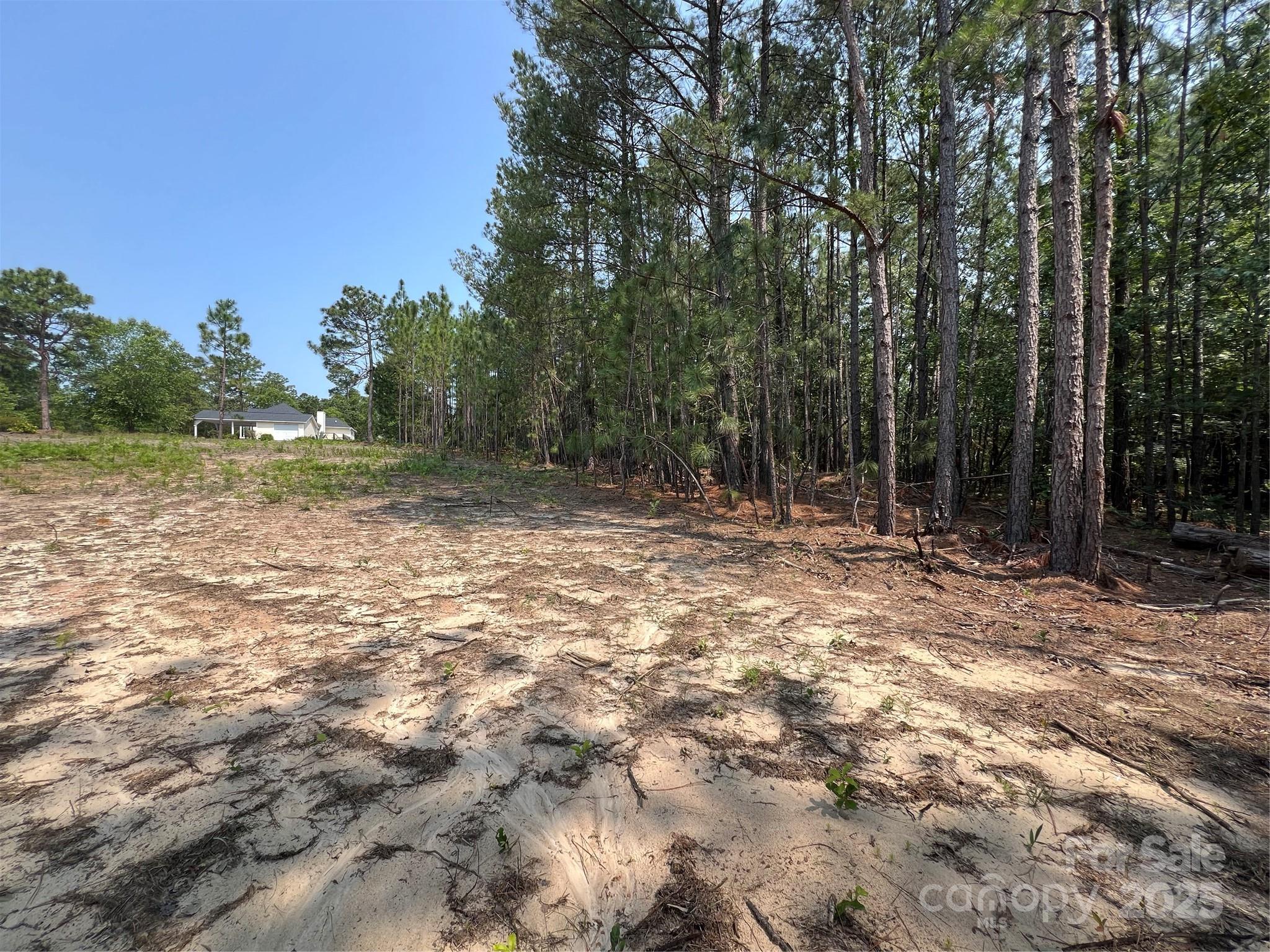 0 Ruby Road Hartsville, SC 29550 - Photo 6 of 23 a view of outdoor space with trees