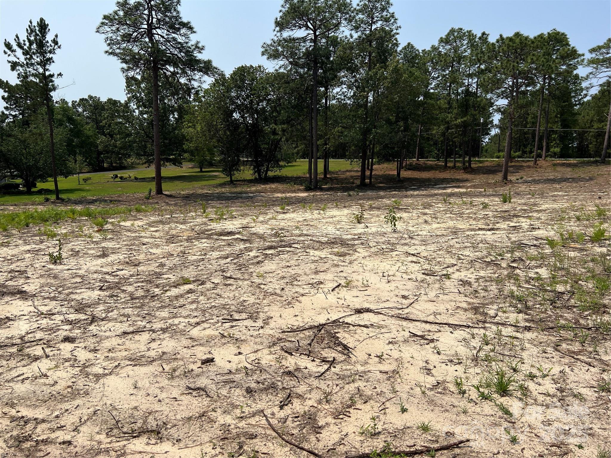 0 Ruby Road Hartsville, SC 29550 - Photo 7 of 23 a view of outdoor space with garden