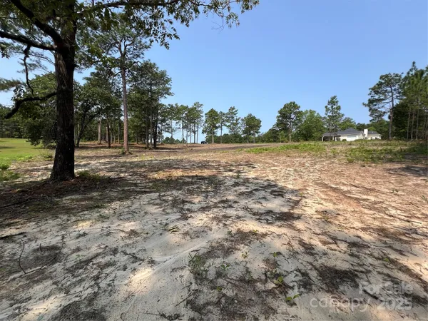 a view of a field with trees in the background