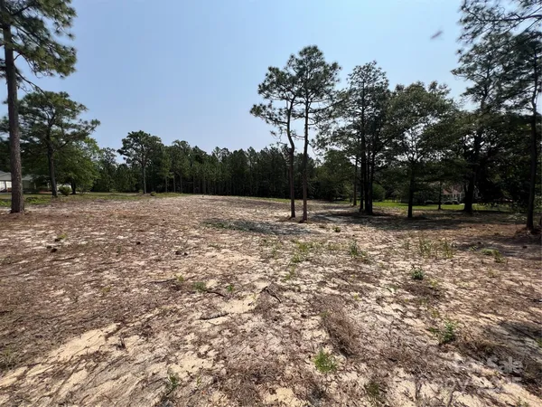 a view of outdoor space with trees