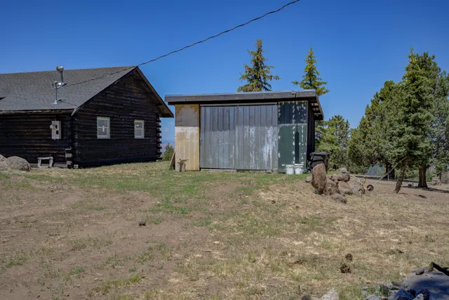 a view of a house that has a small yard and large tree
