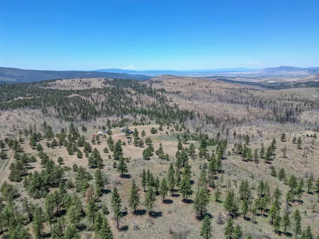 an aerial view of houses with trees