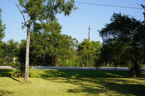 a view of a yard