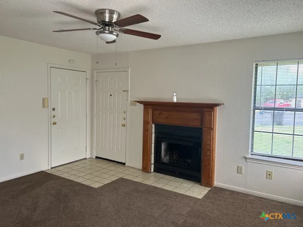 a living room with furniture and a fireplace