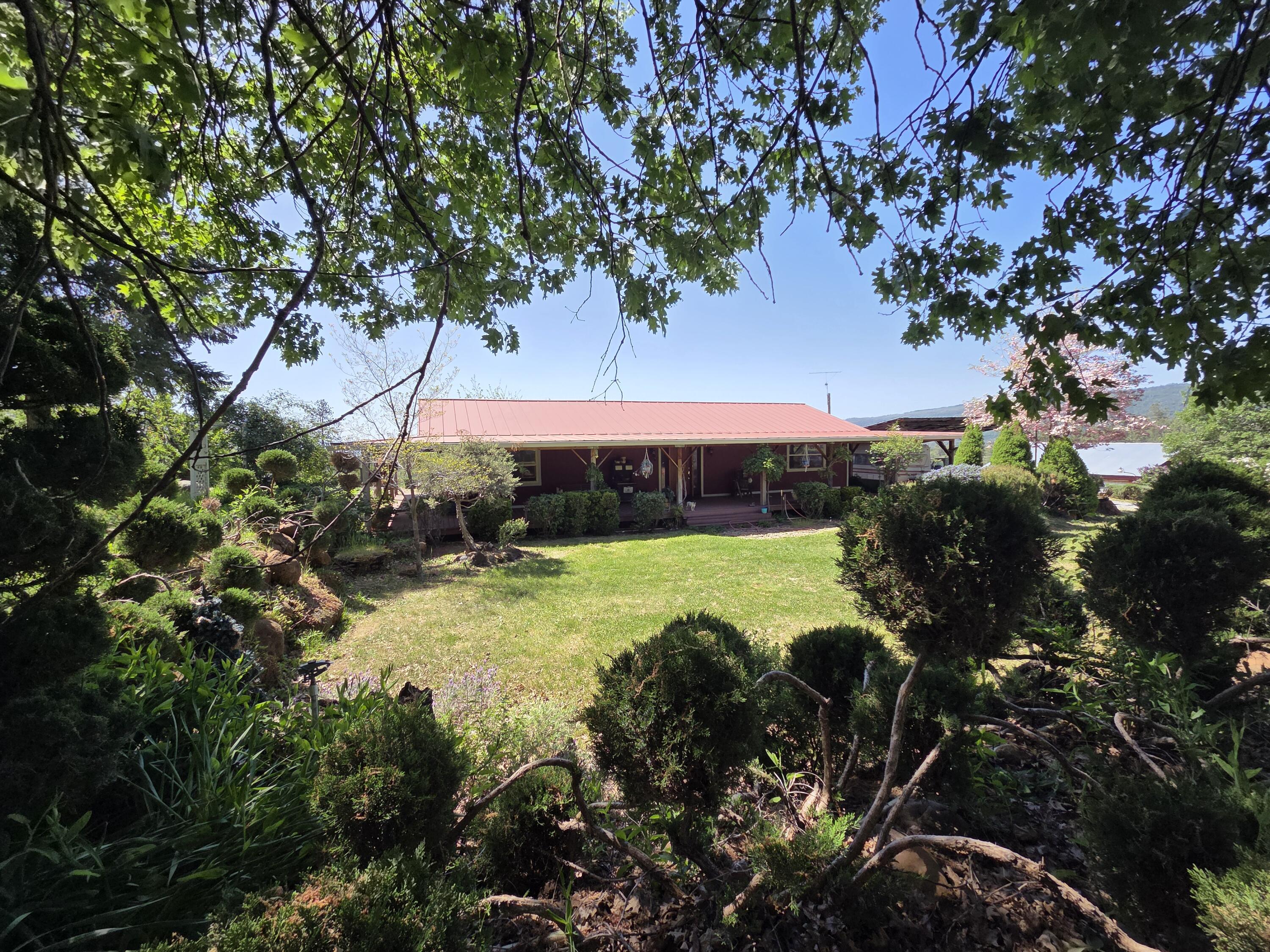 21775 Manton School Road Manton, CA 96059 - Photo 2 of 91 SPRING BLOOM