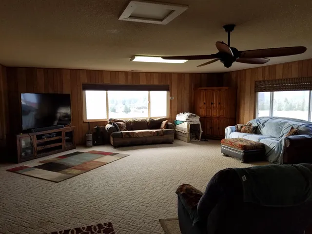a view of a garden with plants and large trees