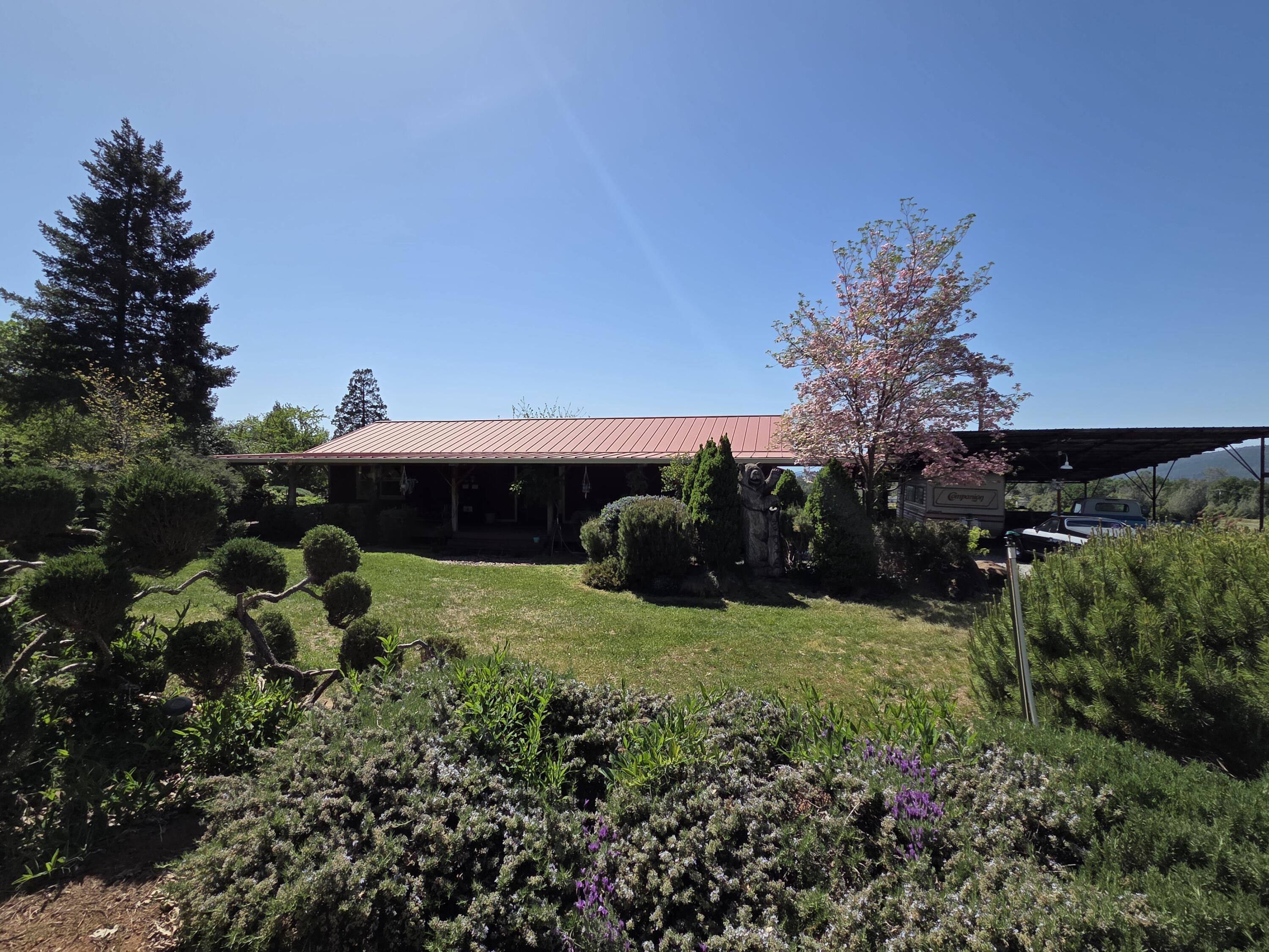 21775 Manton School Road Manton, CA 96059 - Photo 4 of 91 SPRING BLOOM