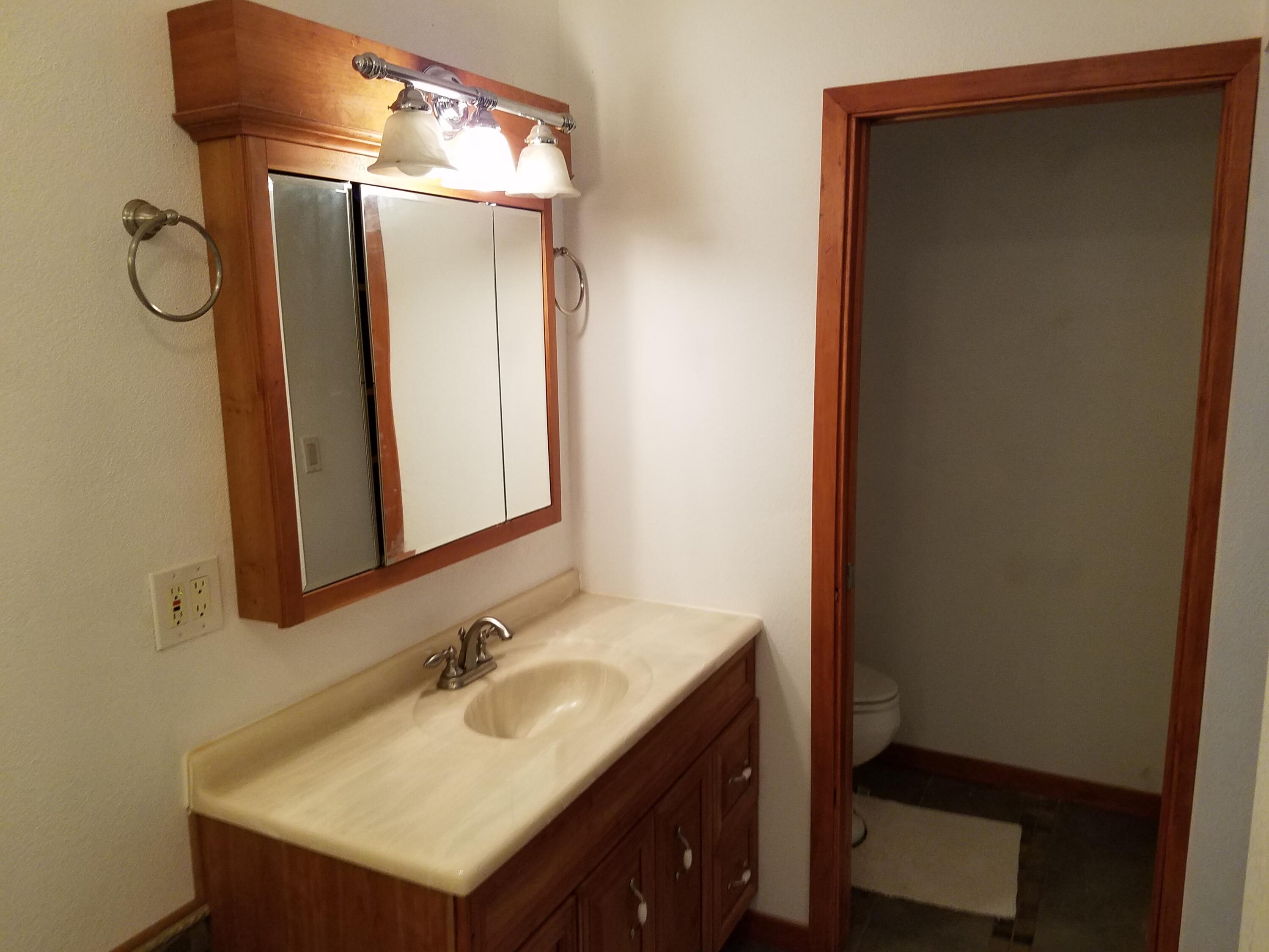 21775 Manton School Road Manton, CA 96059 - Photo 52 of 91 MASTER 2 VANITY