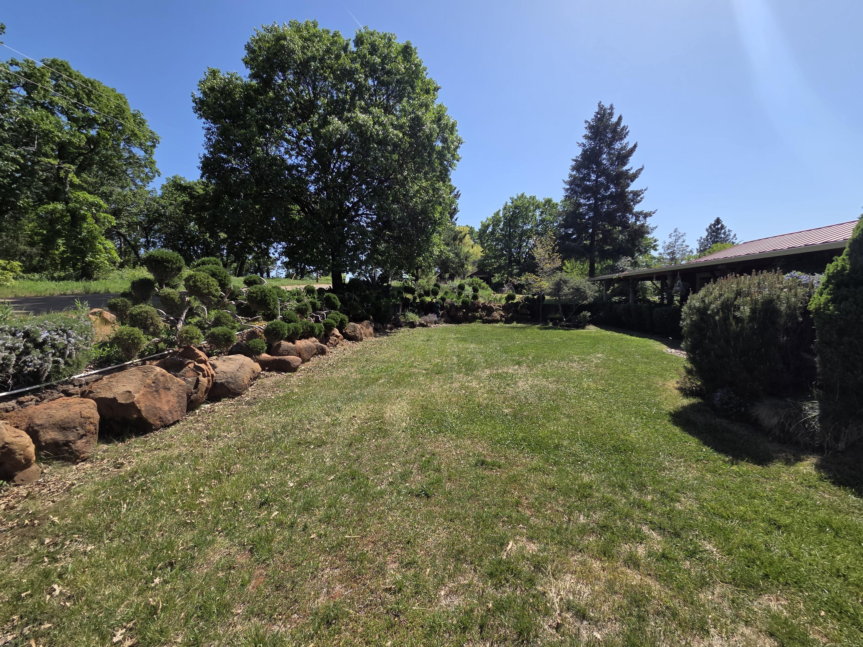 21775 Manton School Road Manton, CA 96059 - Photo 57 of 91 SPRING BLOOM