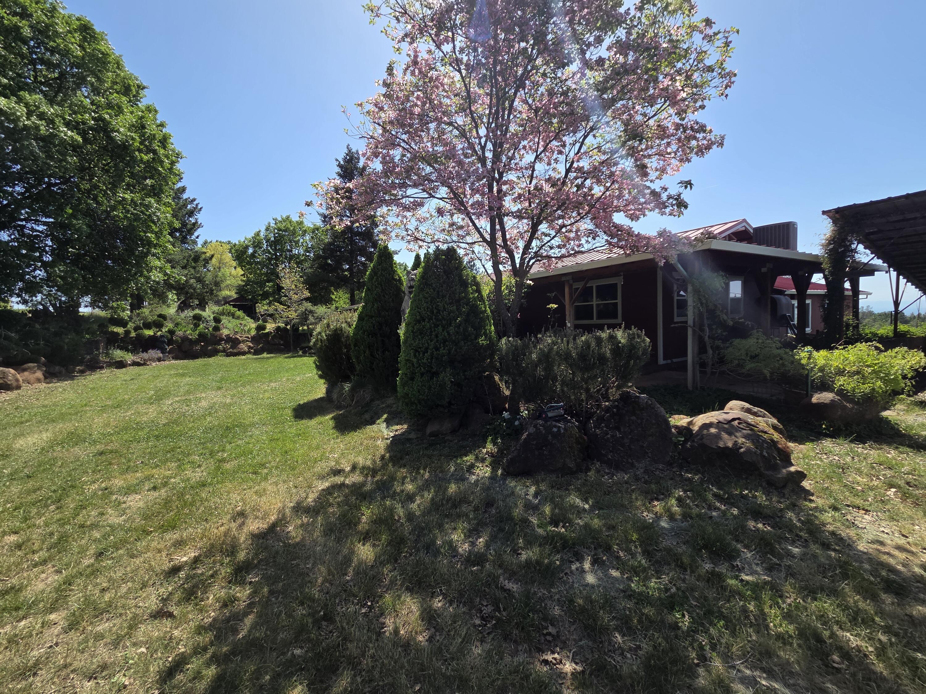 21775 Manton School Road Manton, CA 96059 - Photo 58 of 91 SPRING BLOOM