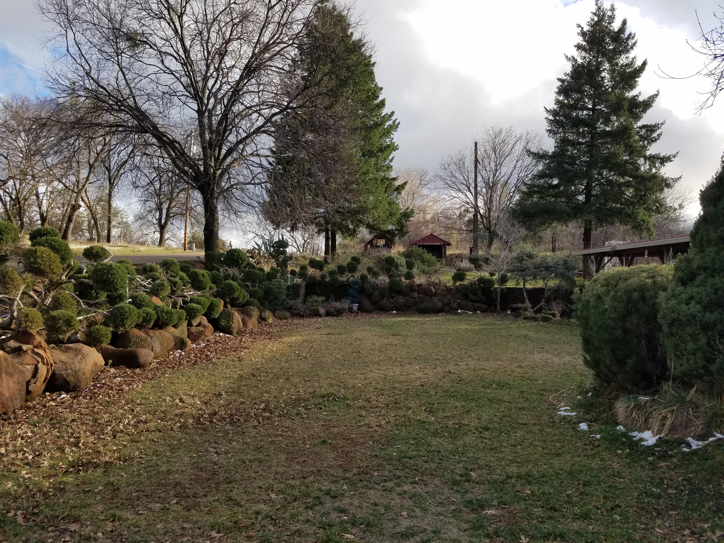 21775 Manton School Road Manton, CA 96059 - Photo 59 of 91 FRONT YARD/LAWN
