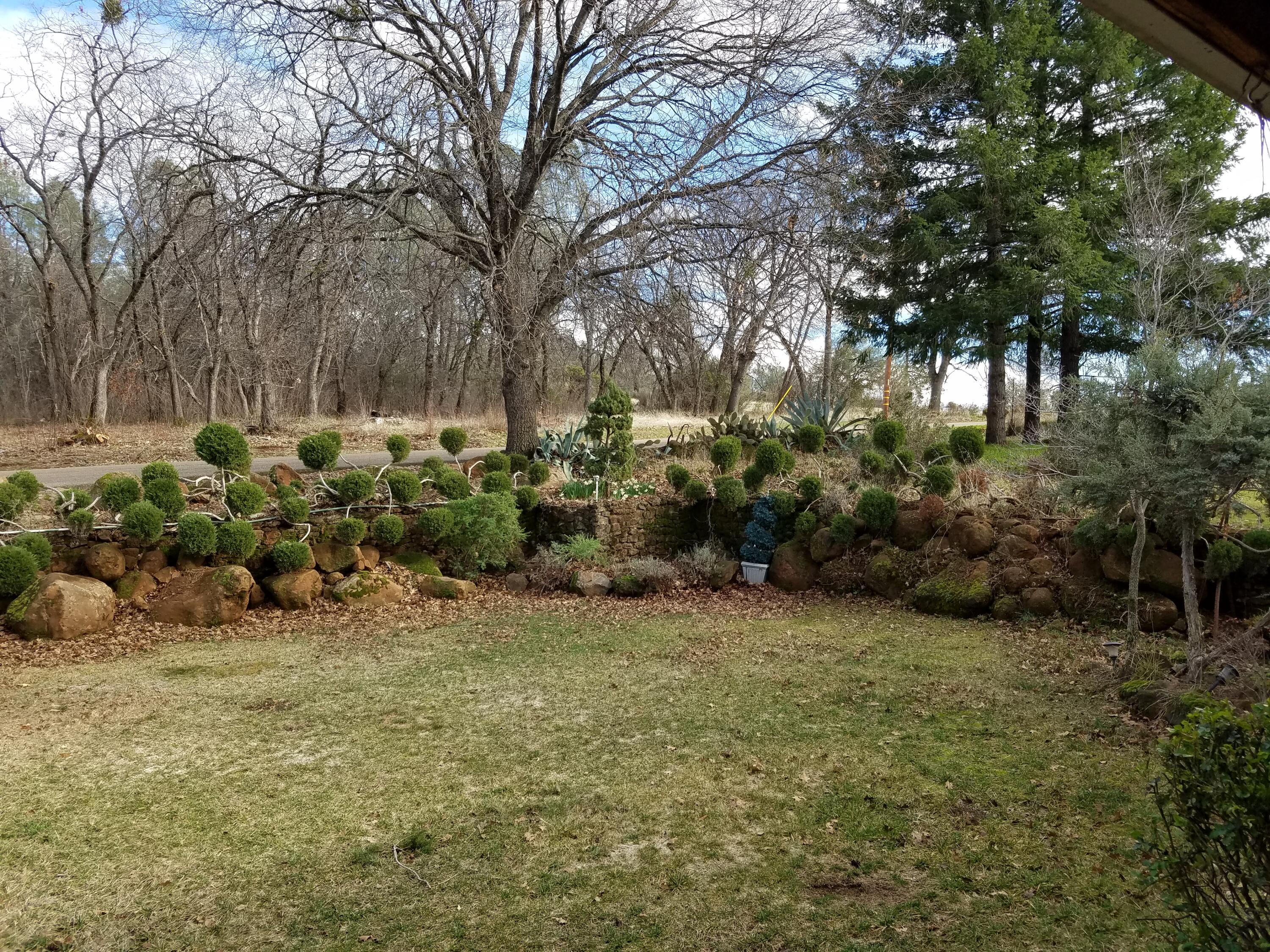 21775 Manton School Road Manton, CA 96059 - Photo 60 of 91 LANDSCAPING
