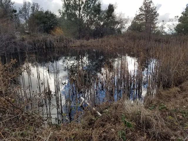 $349,000 | 21775 Manton School Road, Manton, CA 96059