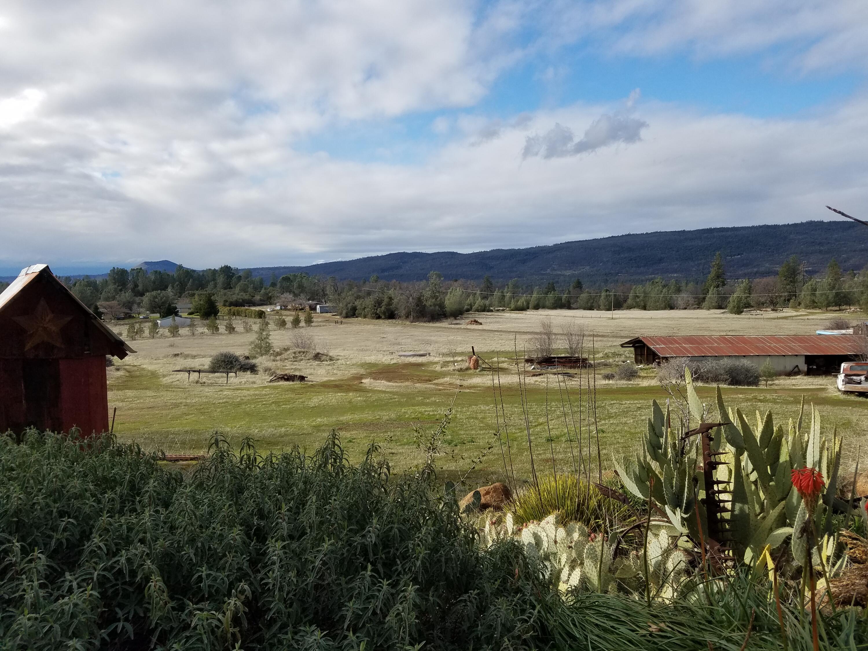 21775 Manton School Road Manton, CA 96059 - Photo 64 of 91 PANORAMIC VIEWS