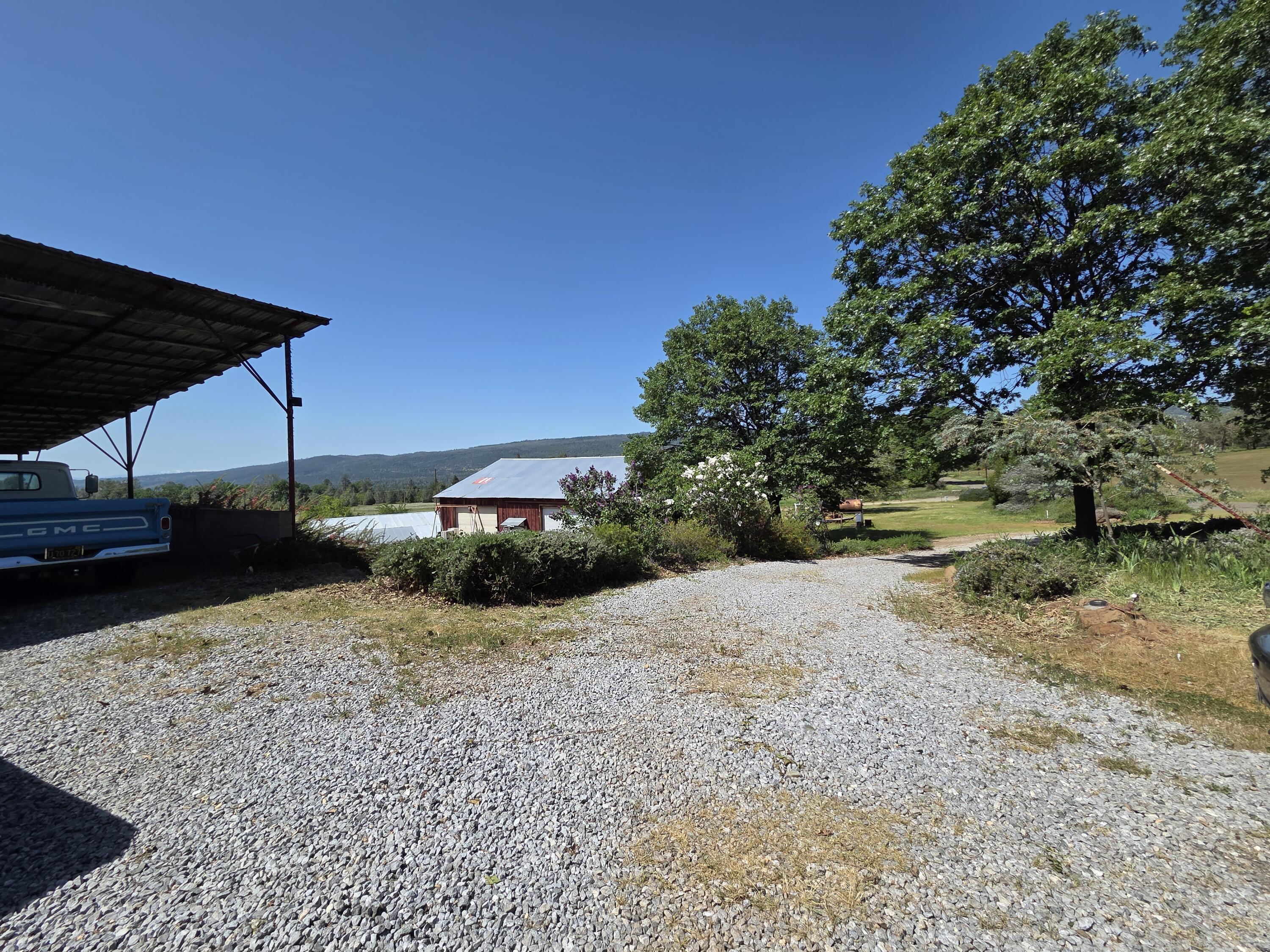 21775 Manton School Road Manton, CA 96059 - Photo 67 of 91 SPRING BLOOM