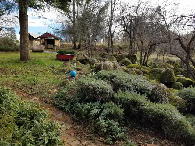 $349,000 | 21775 Manton School Road, Manton, CA 96059