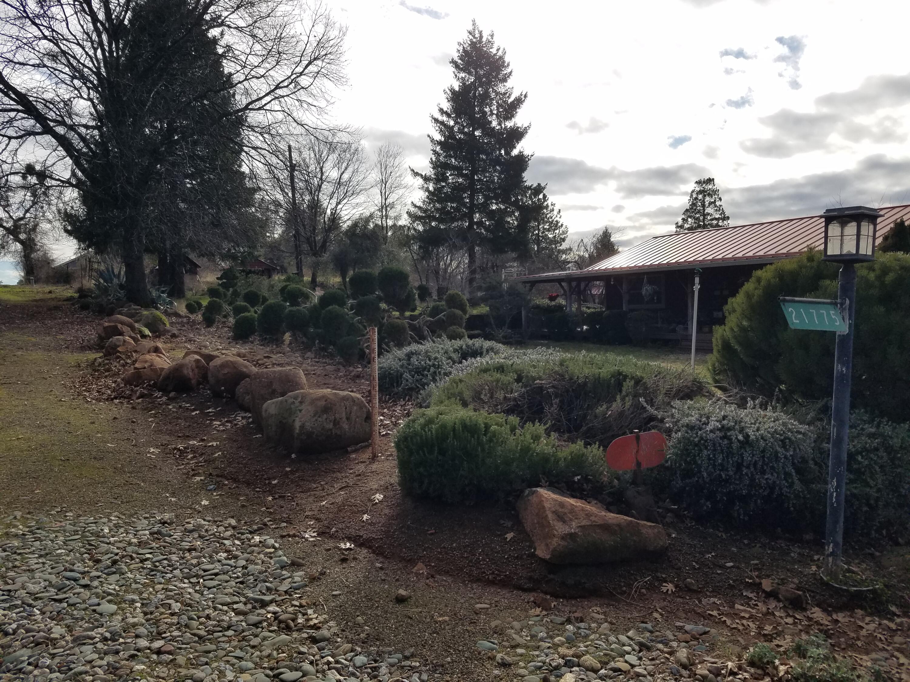 21775 Manton School Road Manton, CA 96059 - Photo 76 of 91 LANDSCAPING