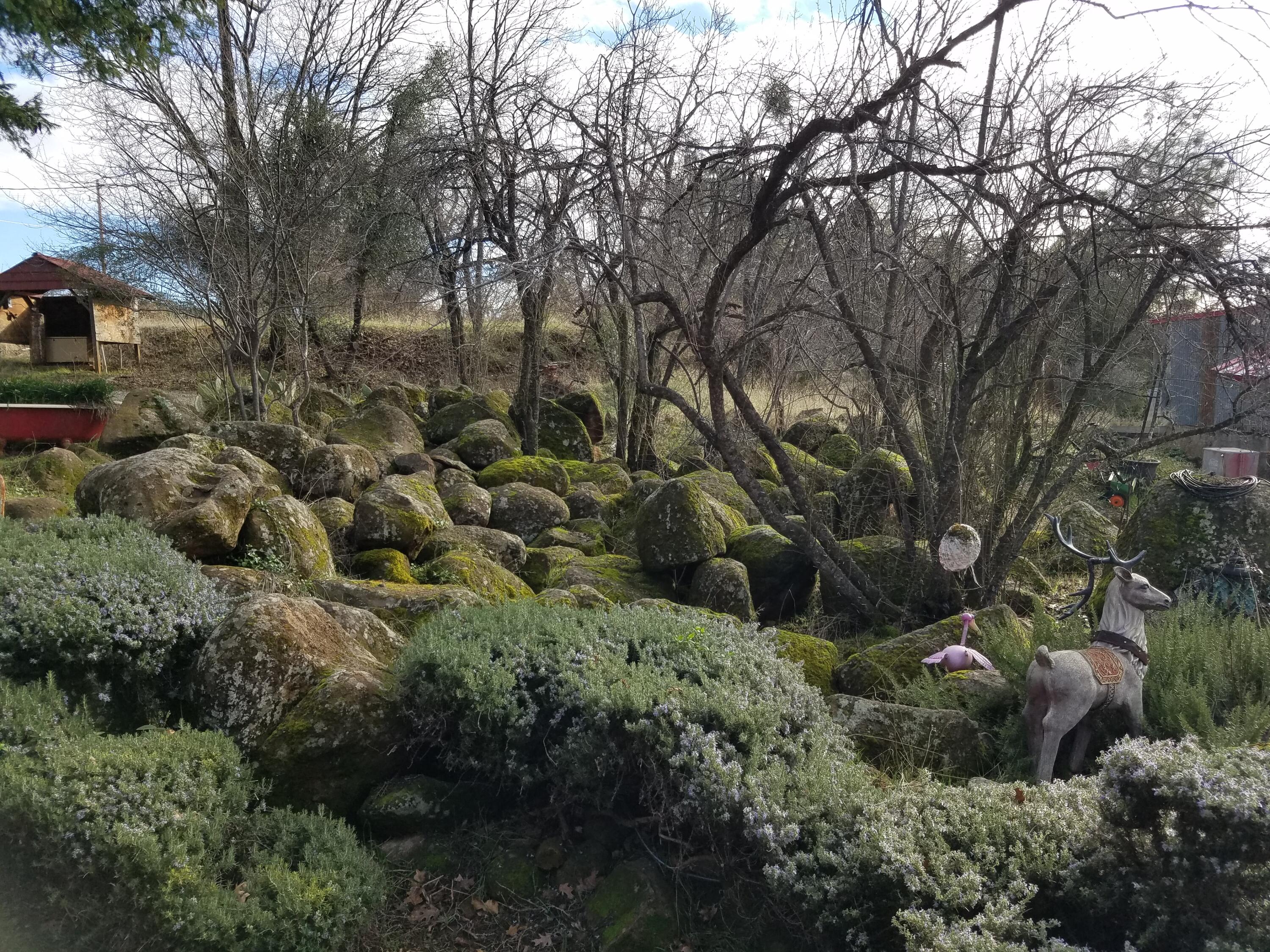 21775 Manton School Road Manton, CA 96059 - Photo 78 of 91 ROCKS V2