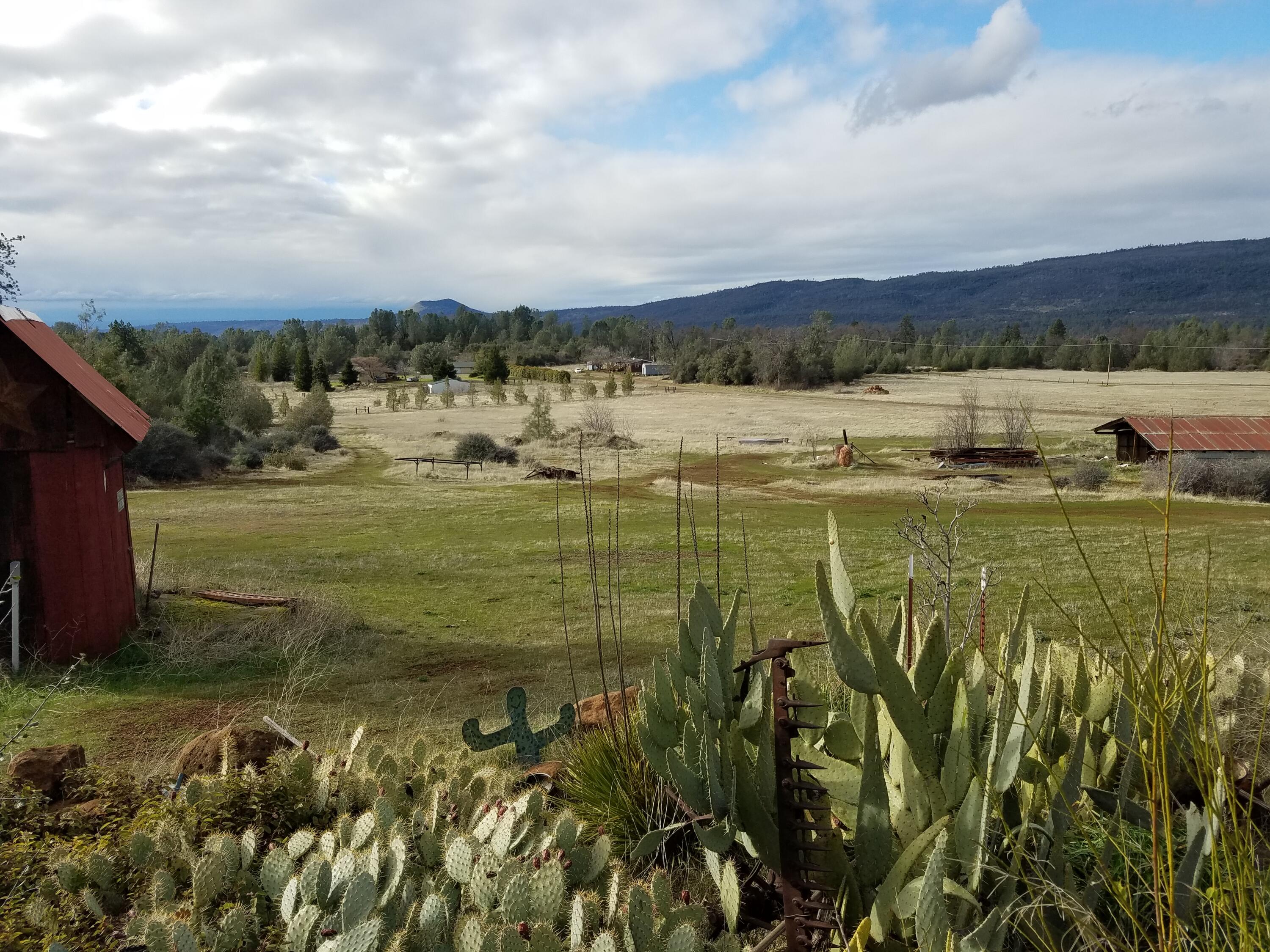 21775 Manton School Road Manton, CA 96059 - Photo 8 of 91 Property