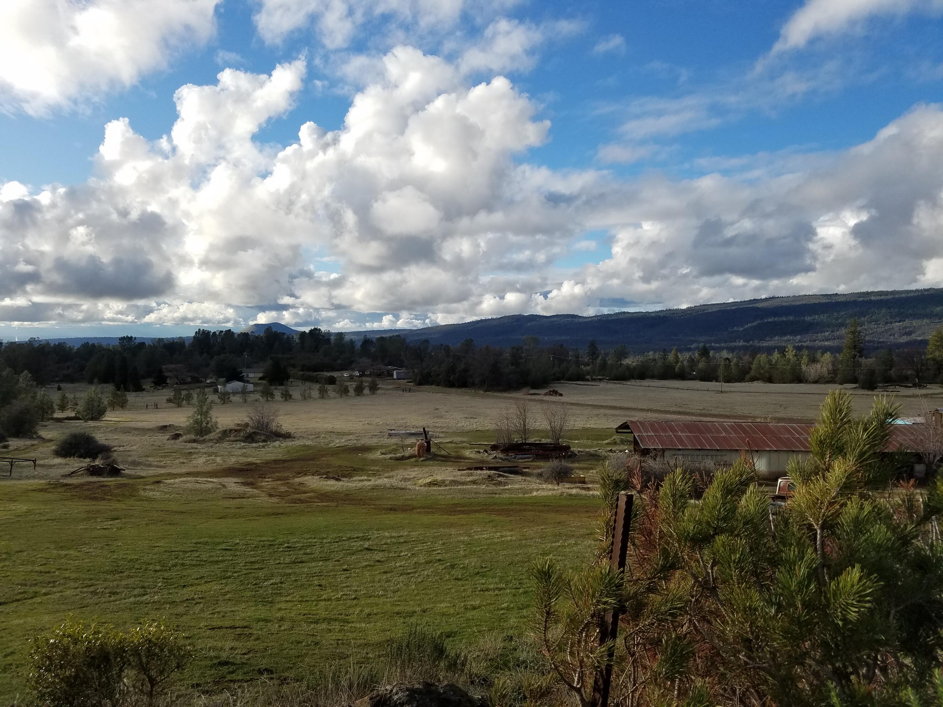 21775 Manton School Road Manton, CA 96059 - Photo 83 of 91 VIEWS