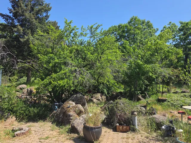 $349,000 | 21775 Manton School Road, Manton, CA 96059