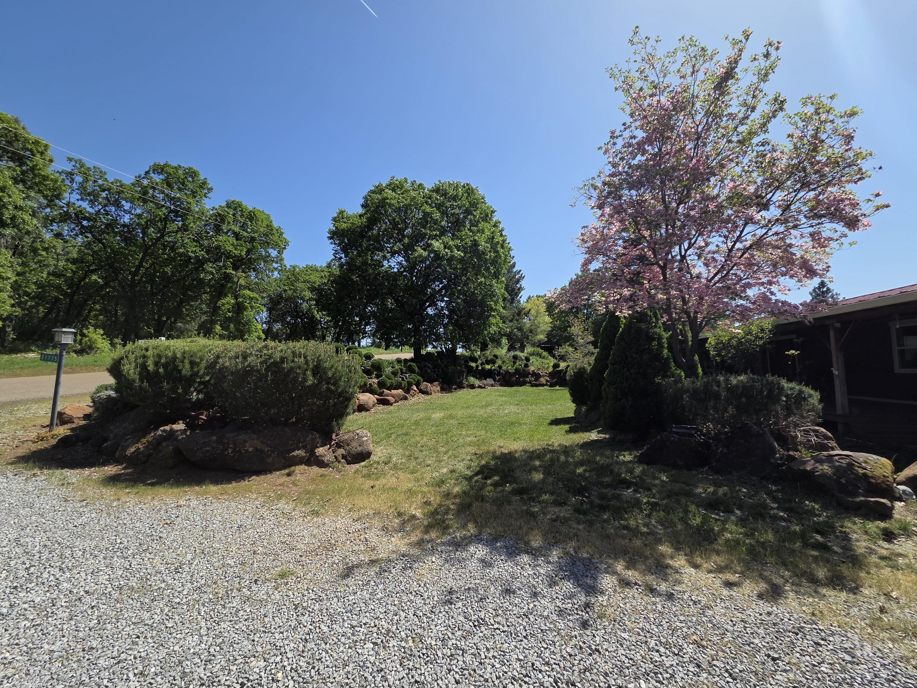 21775 Manton School Road Manton, CA 96059 - Photo 88 of 91 20250421_143421