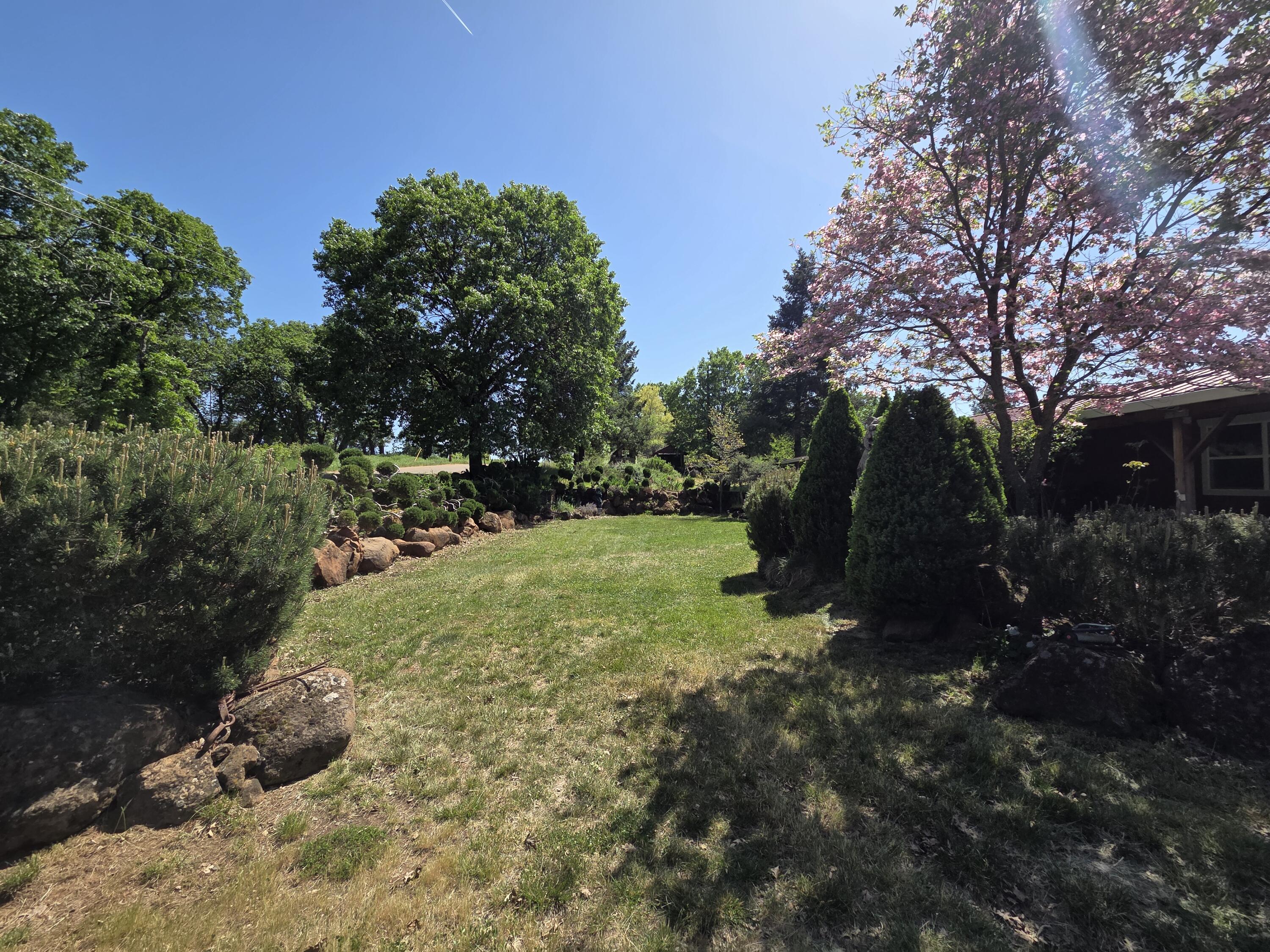 21775 Manton School Road Manton, CA 96059 - Photo 89 of 91 20250421_143429