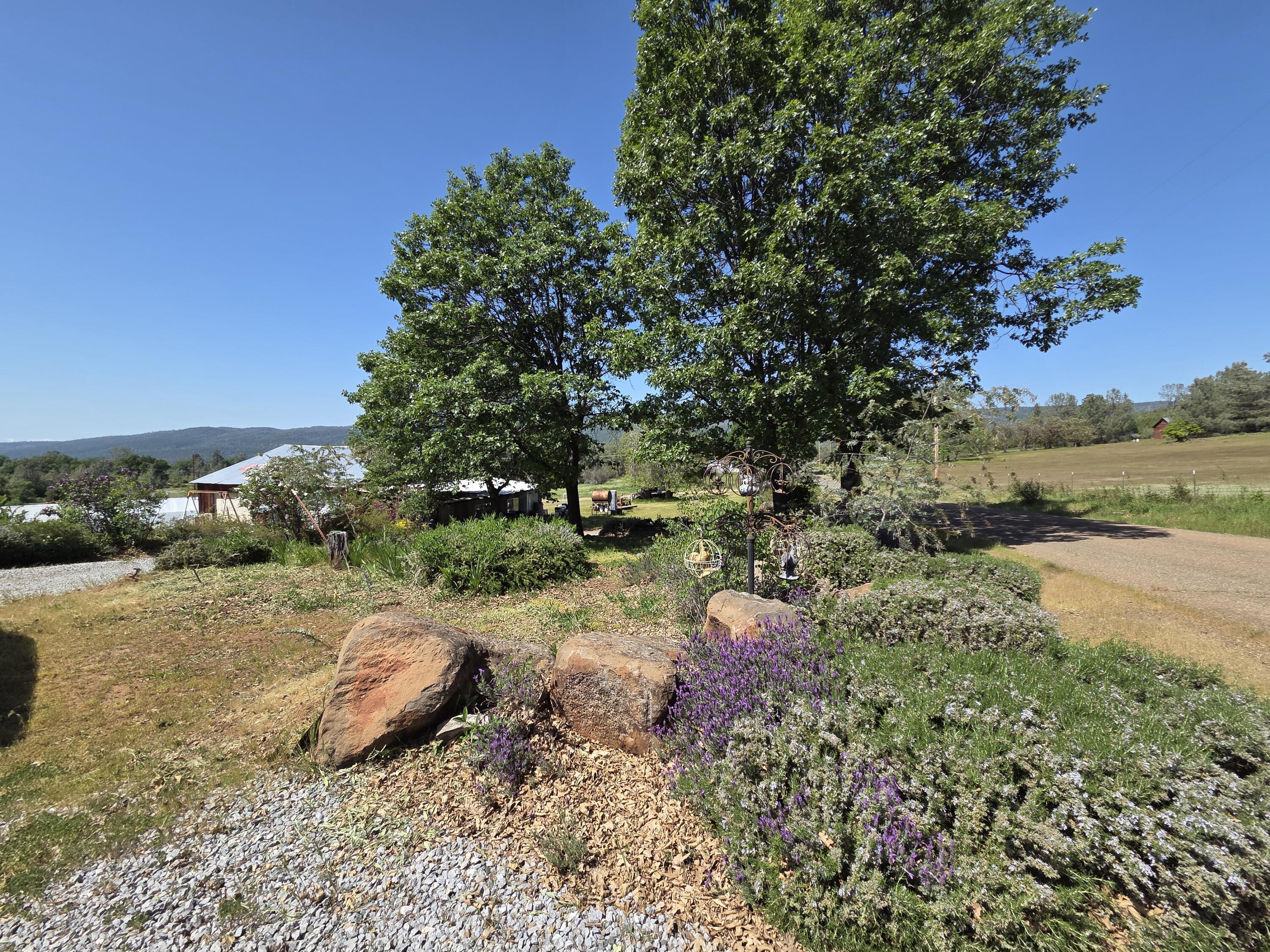 21775 Manton School Road Manton, CA 96059 - Photo 90 of 91 20250421_143459