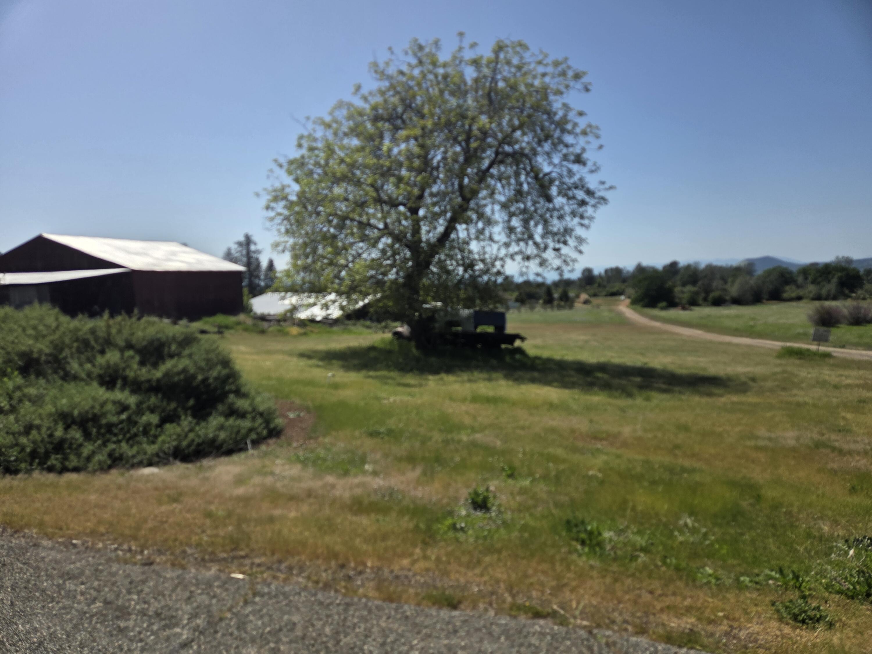 21775 Manton School Road Manton, CA 96059 - Photo 91 of 91 20250421_143923