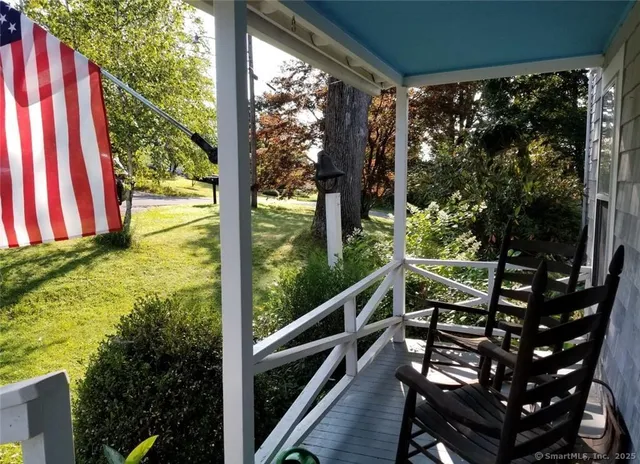 a view of a garden with a tree