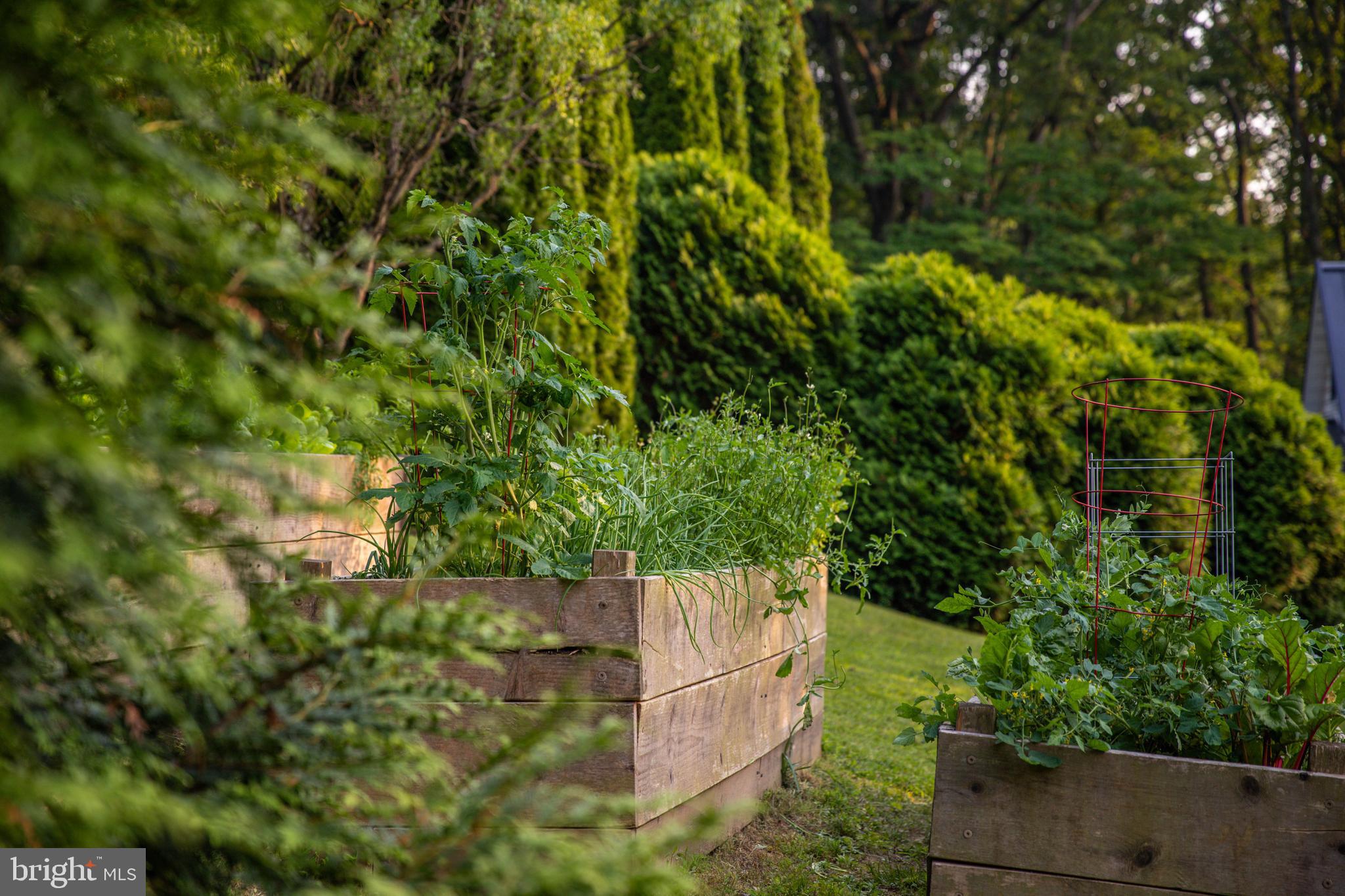 1801 Stringtown Road Sparks Glencoe, MD 21152 - Photo 4 of 26 a backyard of a house with lots of green space