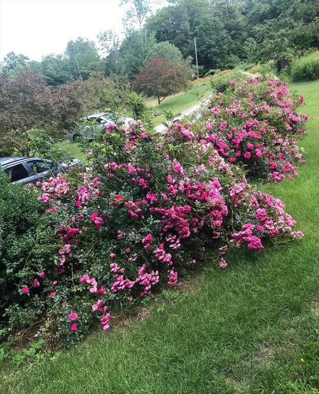 380 Frost Road Washington, MA 01223 - Photo 40 of 41