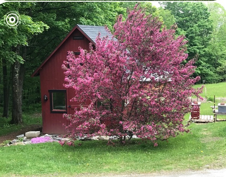 380 Frost Road Washington, MA 01223 - Photo 41 of 41