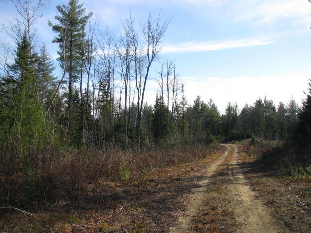 0 Carthage Road Carthage, ME 04224 - Photo 8 of 31 Photo