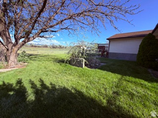 588 North 4500 West West Point, UT 84015 - Photo 52 of 61 Expansive grassy yard area featuring a mature tree, surrounding foliage, and a partial view of the property's exterior with a brown shingle roof and light-colored siding