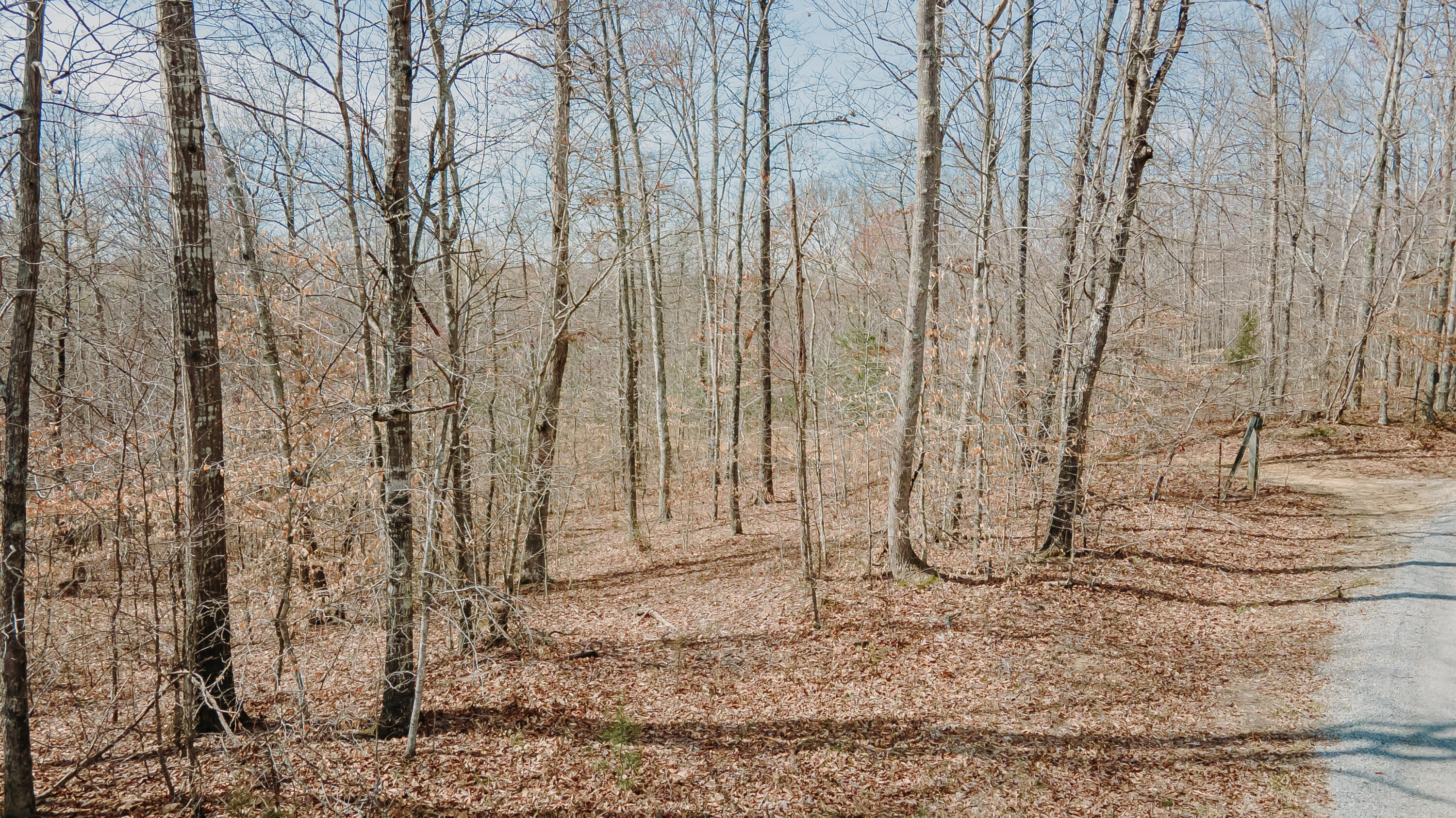 7000 Cave Springs Road Nancy, KY 42544 - Photo 36 of 69 Wolf Creek-31