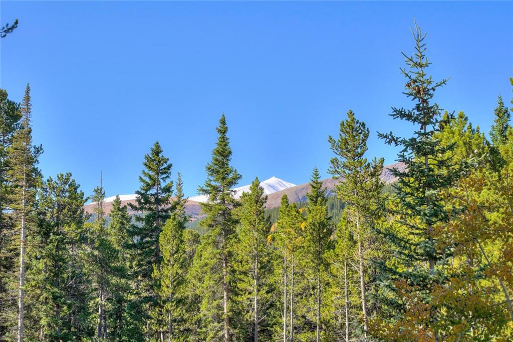 357 County Road 628 Breckenridge, CO 80424 - Photo 26 of 28 a view of a garden