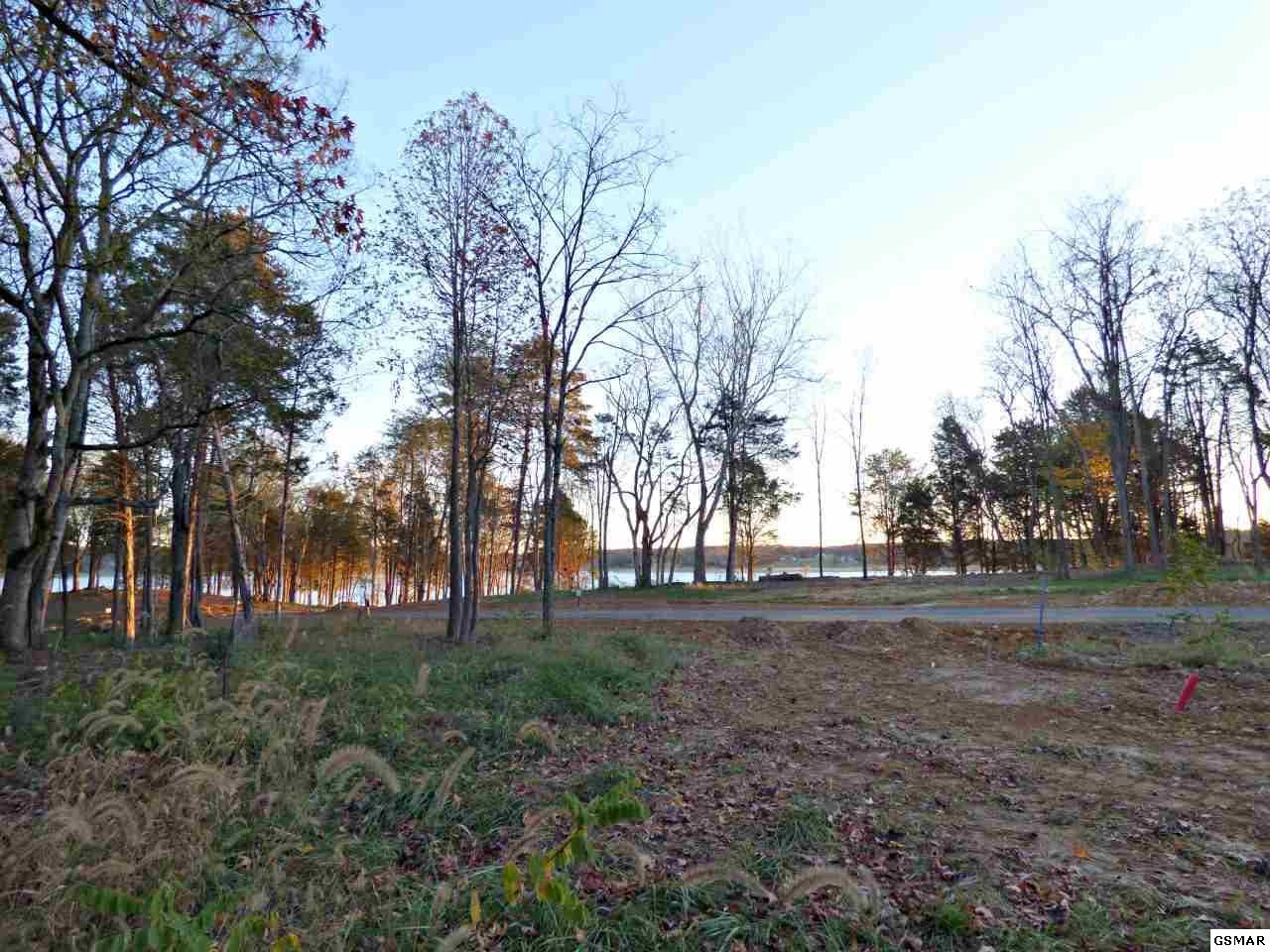 125 Ridge Point Trail Dandridge, TN 37725 - Photo 16 of 17 Gallery Image 16