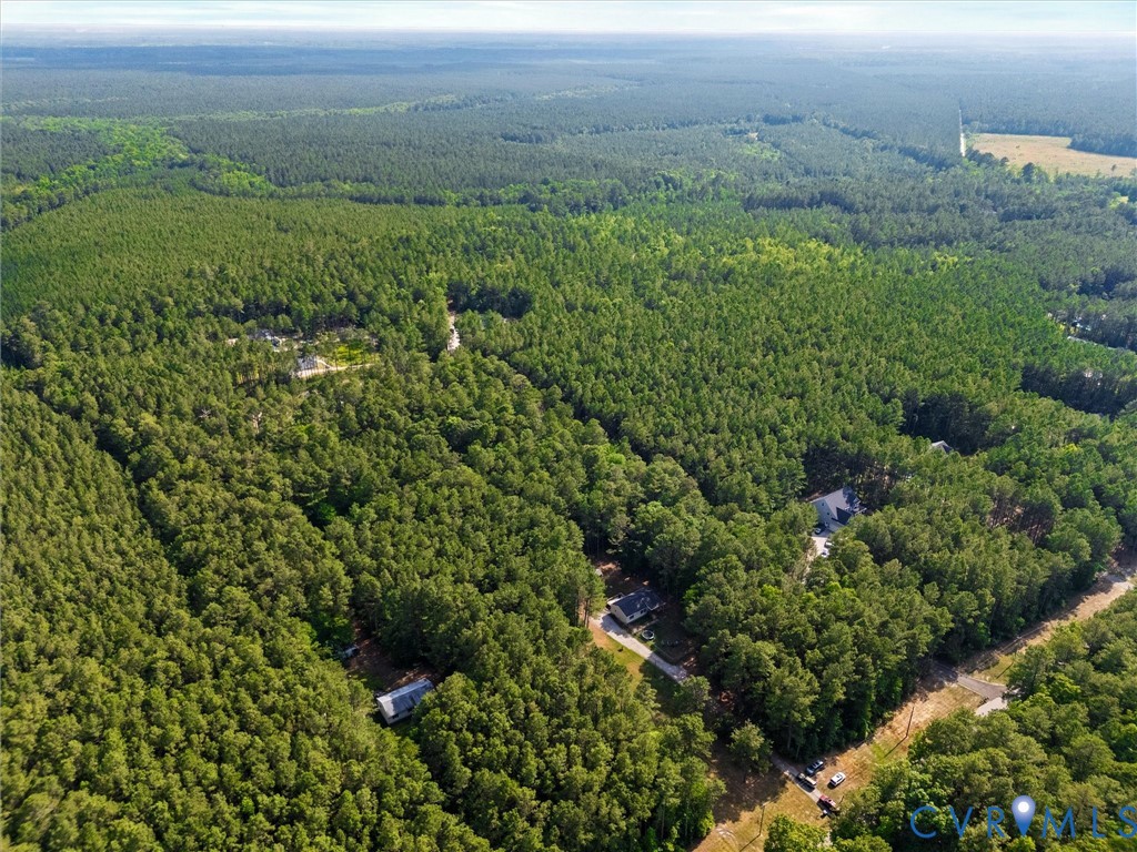14175 Lebanon Road Disputanta, VA 23842 - Photo 57 of 60 Extensive wooded acreage featuring multiple single