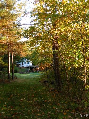 2491 Yost Road Bath, PA 18014 - Photo 35 of 42 a view of a big yard with plants and large trees
