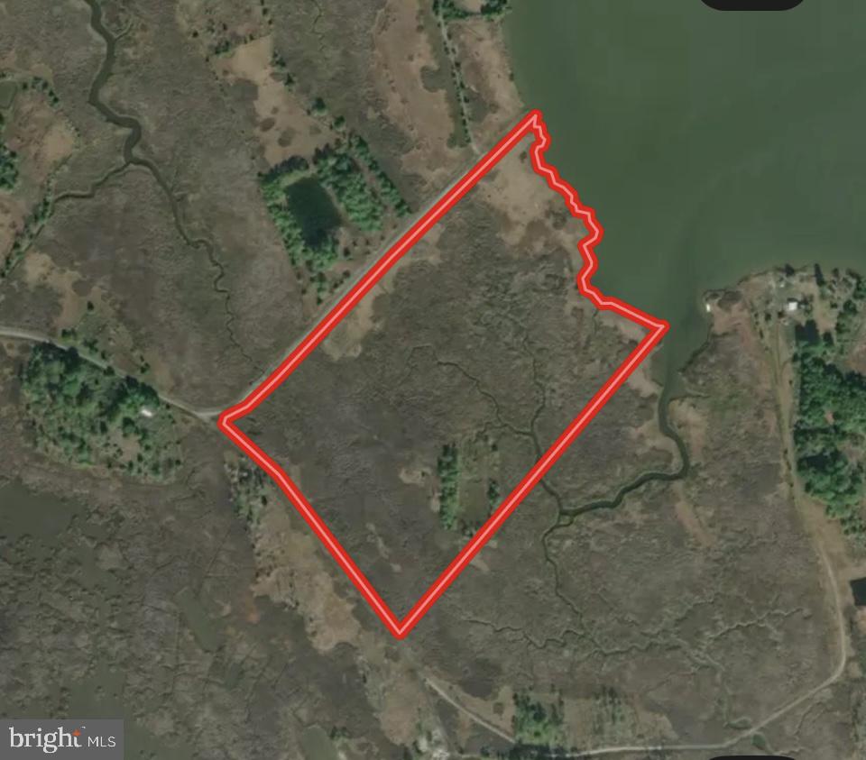 0 Goose Creek Road Toddville, MD 21672 - Photo 12 of 12 unknown